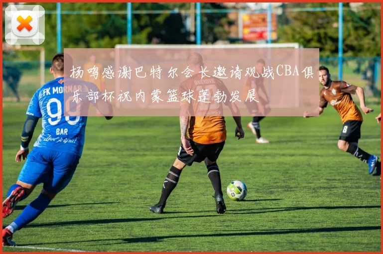 杨鸣感谢巴特尔会长邀请观战CBA俱乐部杯祝内蒙篮球蓬勃发展